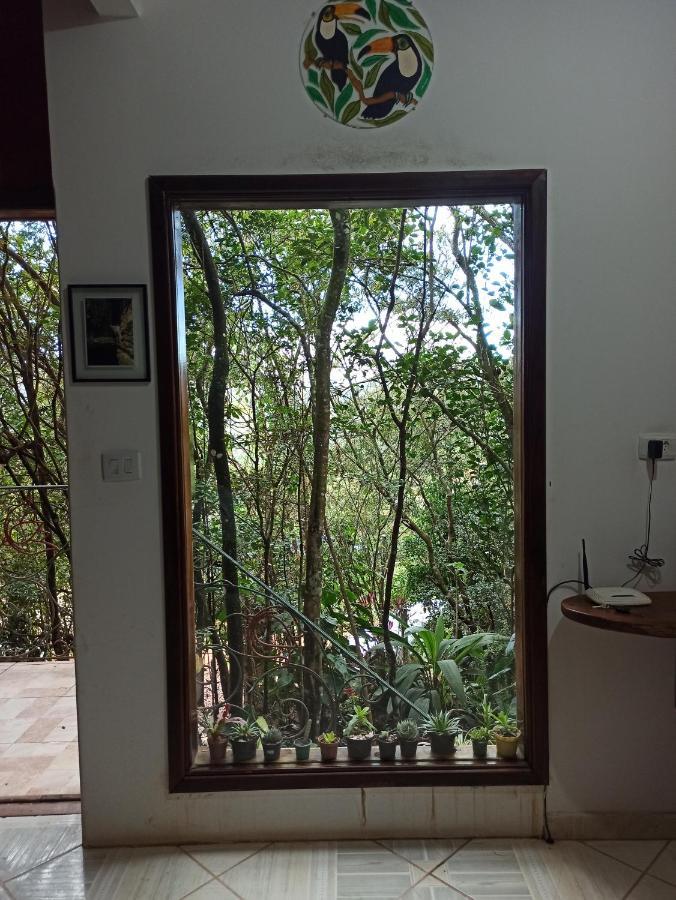Casa Da Mata Descanso E Sossego Na Natureza Ibicoara Exterior photo